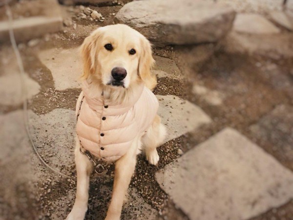 KakaoTalk_20180128_171007780.jpg