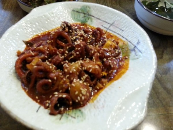 20160603_131504.jpg