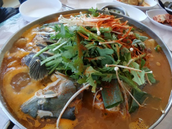 20150922_114528.jpg