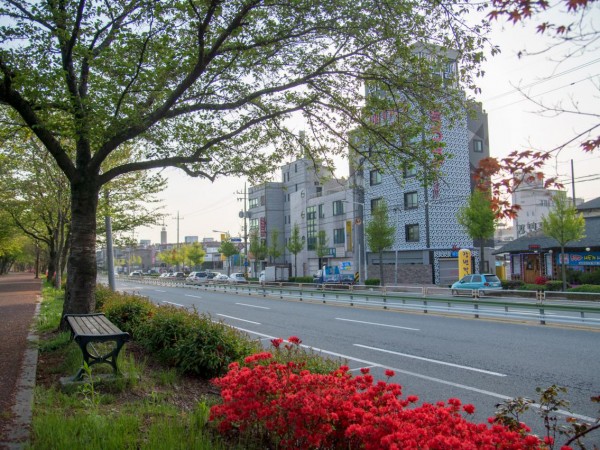 D1X_4536.jpg