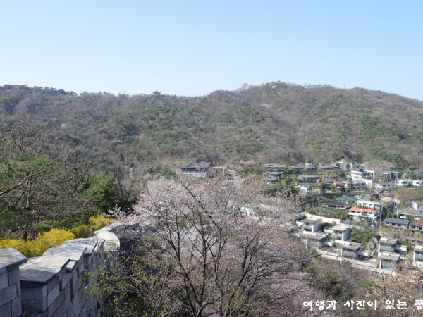 WSJ_6113-001.JPG#1024x683