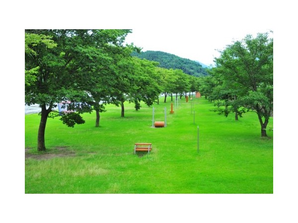 경북_운문댐하류보유원지_6.jpg?type=m500_500
