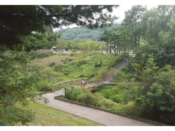 20160925_171855.jpg#740x416
