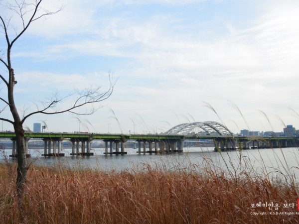 DSC_9259.JPG#900x596