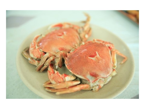 사천항물회_(6).JPG