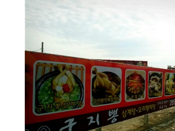 20605739_2.jpeg