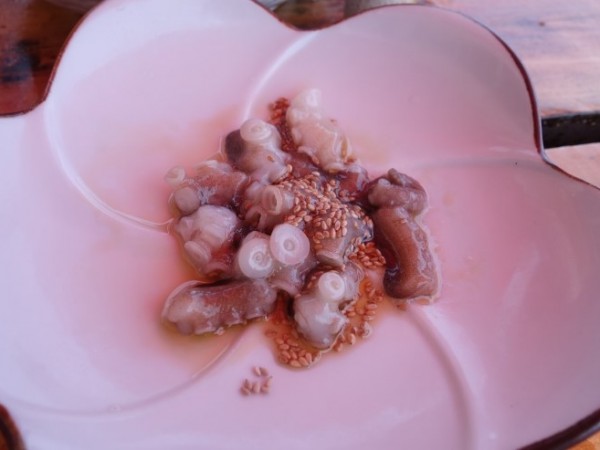 DSC05143.JPG