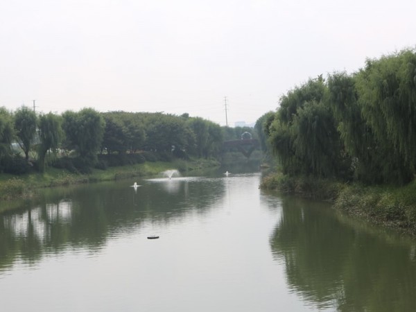 566A3466.JPG#900x600