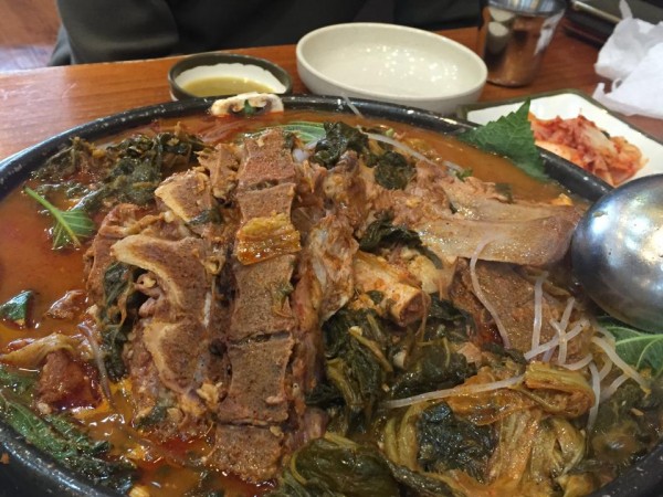KakaoTalk_20160529_103302824.jpg