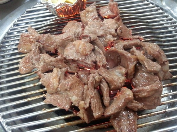 갈매기_(4).jpg