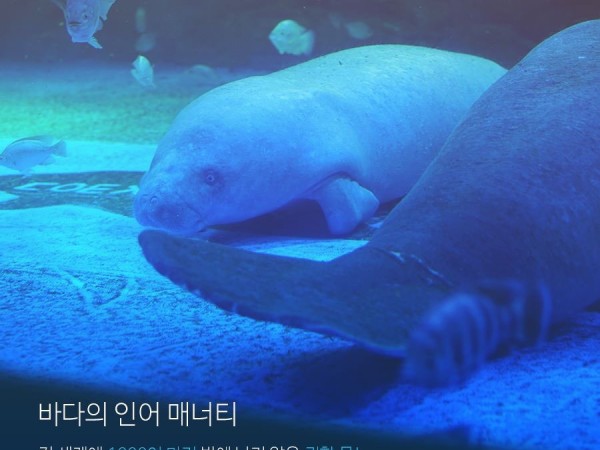 KakaoTalk_20161221_155400262.jpg