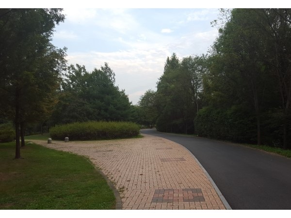20160925_174841.jpg#740x416