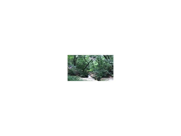 b26d634a80a421cdf430695de7e8e5c256f4_ugcvideo_270P_01_16x9_s152.jpg#152x114#m
