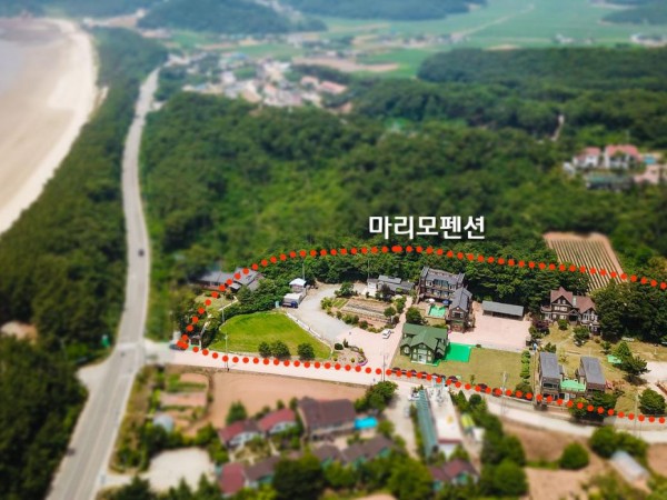 01.jpg