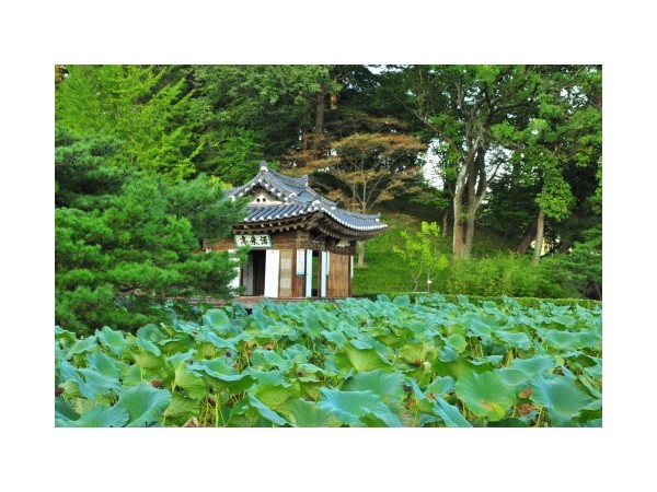 강원_강릉선교장_1.jpg?type=m500_500