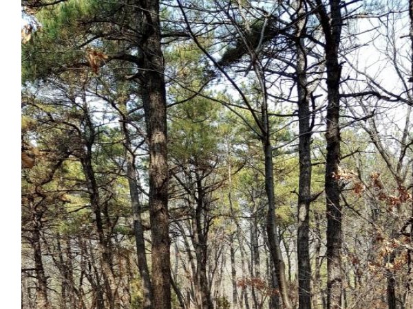 20180310_130250.jpg#740x1316