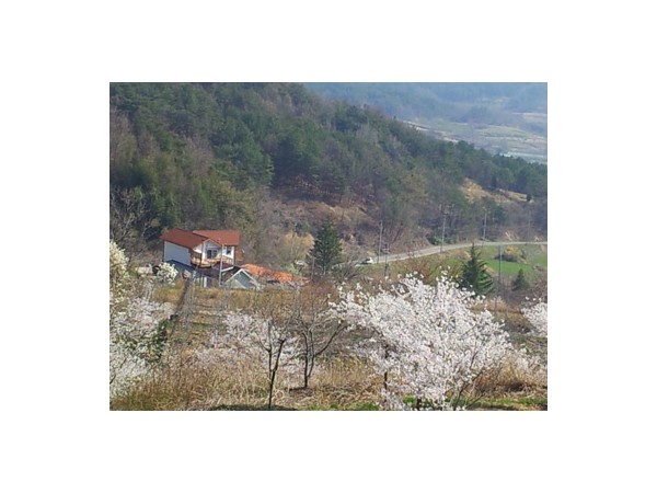 PNrzjPj5mU-z41WQjCwgCuLu.jpg