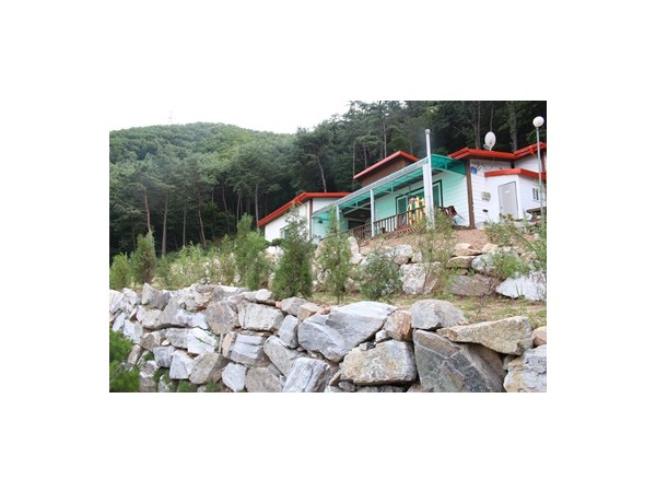 YGj17Ixpidevh2X9cTjIc6Em.JPG.jpg