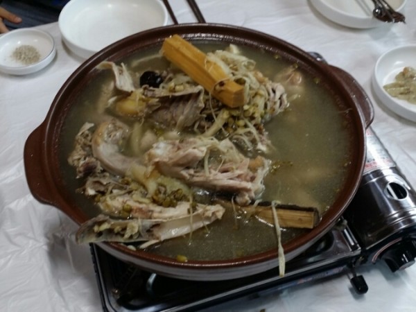 20160611_120742.jpg