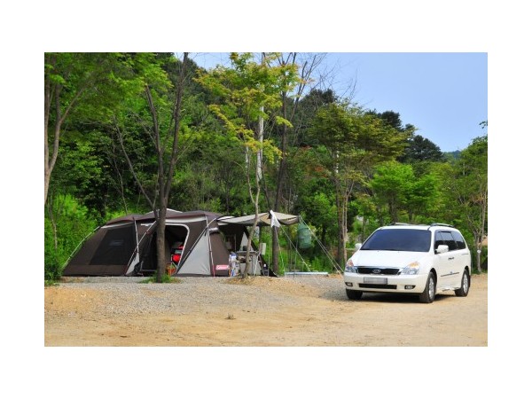 경기_유식물원오토캠핑장_2.jpg?type=m500_500