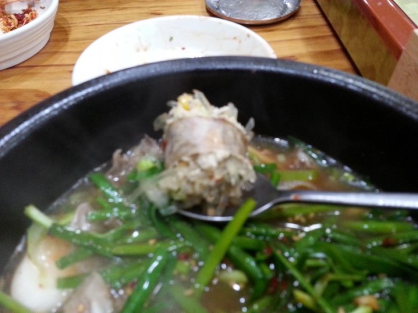 20160609_125206.jpg