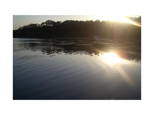 11622435_2.jpg