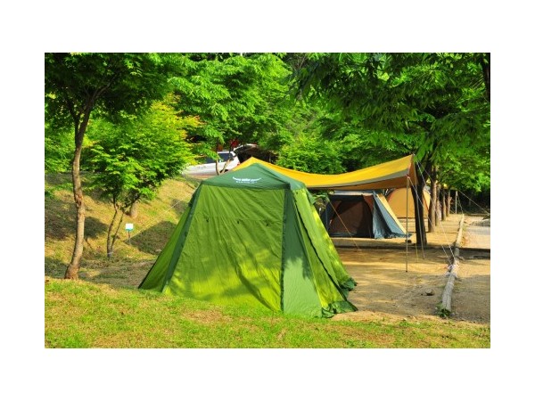 강원_치악산금대자동차야영장_3.jpg?type=m500_500