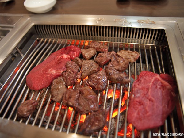 한약우-13.jpg