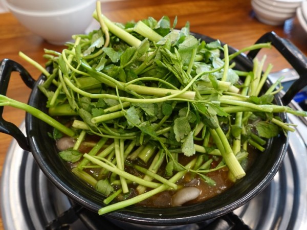 DSC07113.JPG