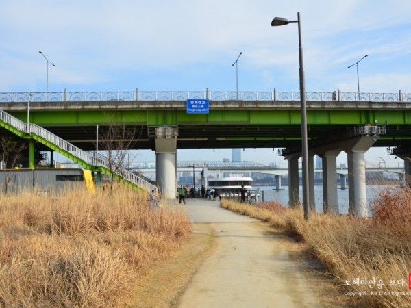 DSC_9255.JPG#900x596