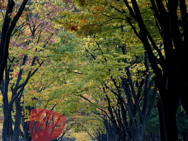 DSC01723.png#900x1350