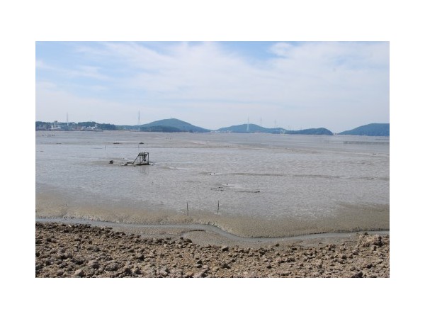 경기_시화방조제_2.jpg?type=m500_500
