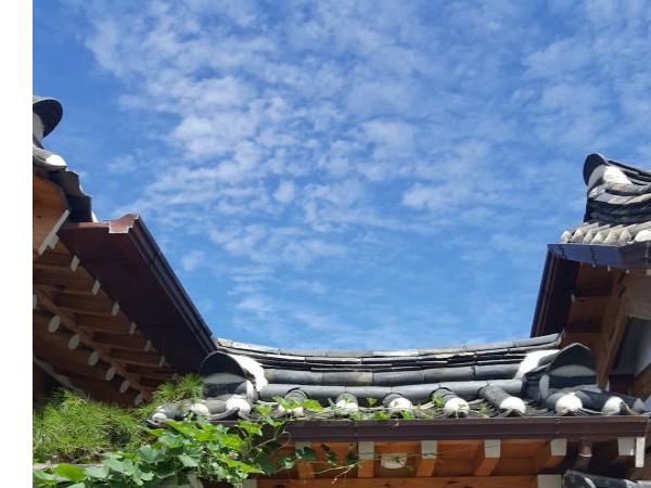 20160827_115219.jpg