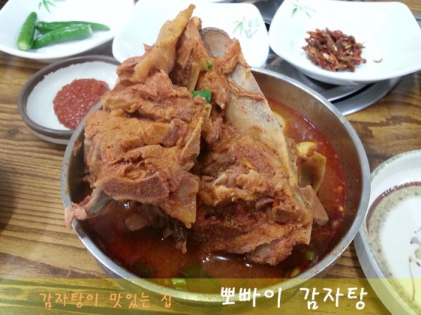 타이틀.jpg