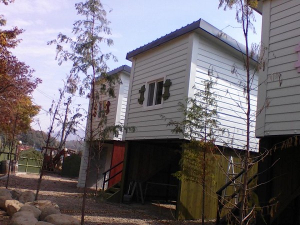 20161027_123920.jpg