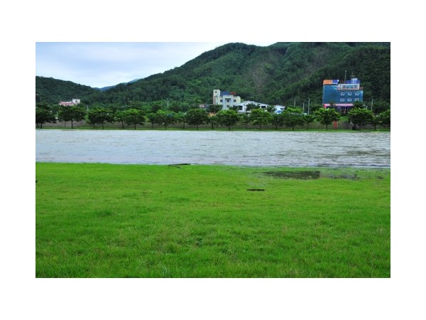 경북_운문댐하류보유원지_4.jpg?type=m500_500