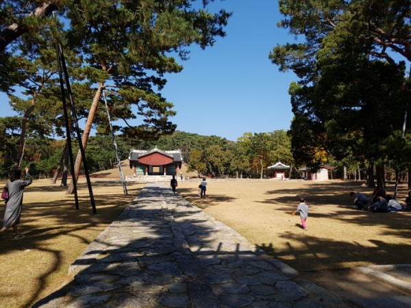 20171028_121312.jpg