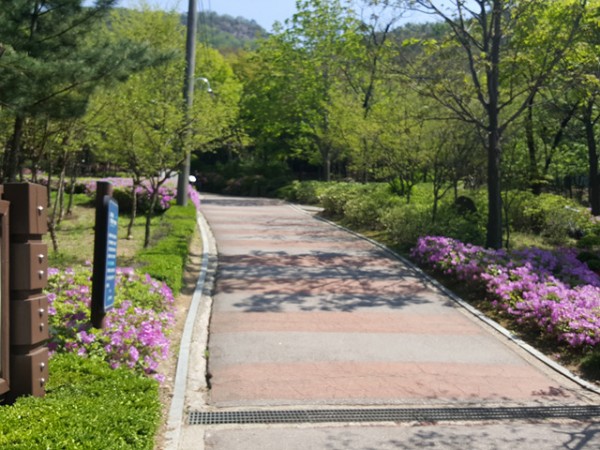 1.jpg#640x480
