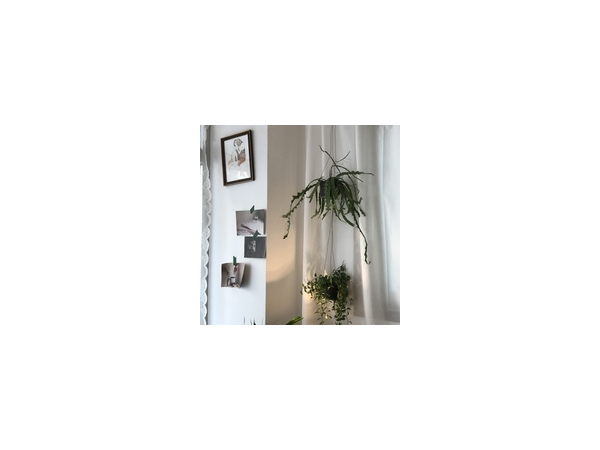 k6jRjlpsMb1jteJ-gdmuwB7n.png