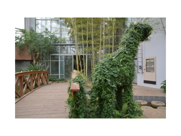 경기_부천식물원_13.JPG?type=m500_500