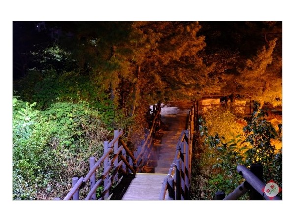 DSCF6848.JPG#550x367