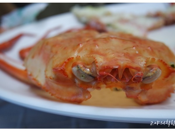 대포항_맛집_(9).JPG