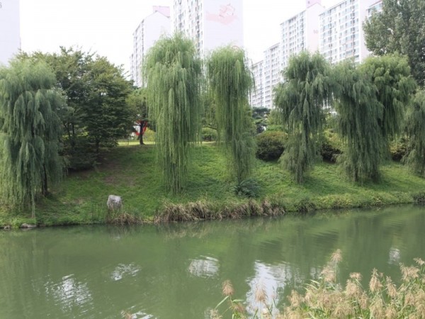 566A3450.JPG#900x600