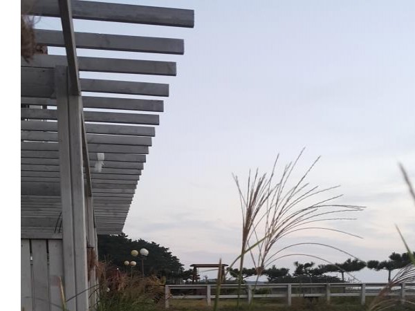 20170930_182425.jpg