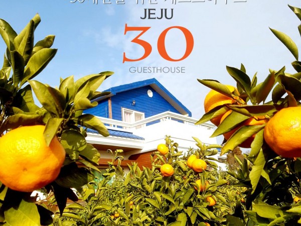 제주30게스트하우스_전경.jpg