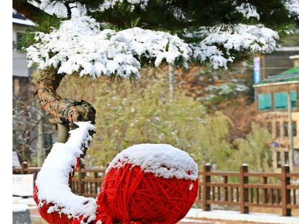 1S1B3964.JPG#550x825