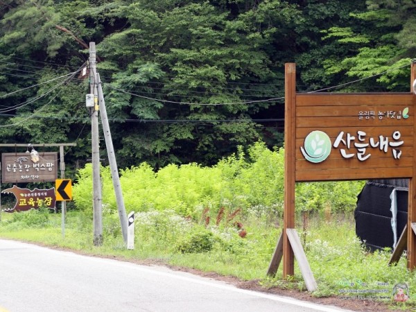 원주_막국수34.JPG