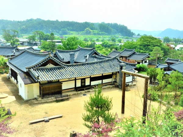 cCWS_9199.jpg