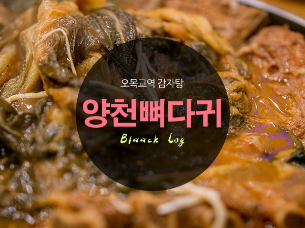 양천뼈다귀00.jpg