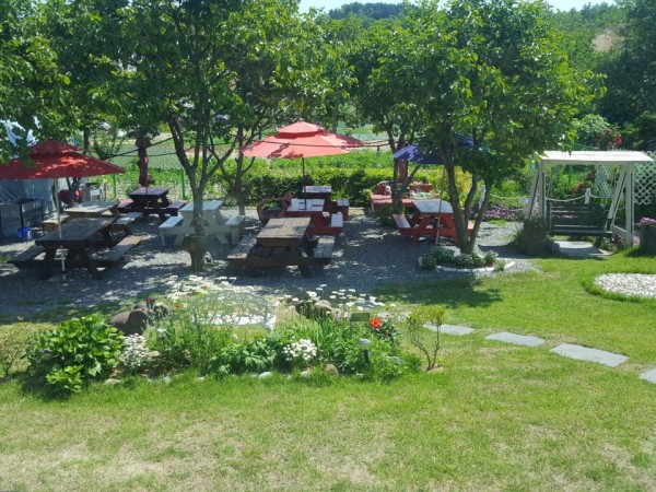 20180602_100638.jpg